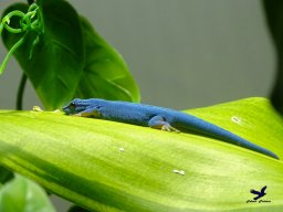 Tiergarten Schönbrunn am 24.02.2026